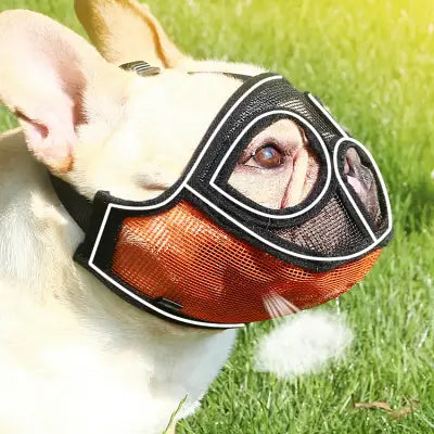 Muselière Chien - SnoutPetDogMuzzles™ - Orange