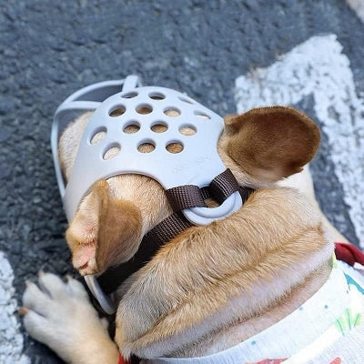 Muselière Chien - SiliconeDogMuzzle™ - Gris