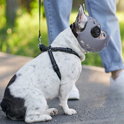 Muselière Chien - SiliconeDogMuzzle™ - Gris