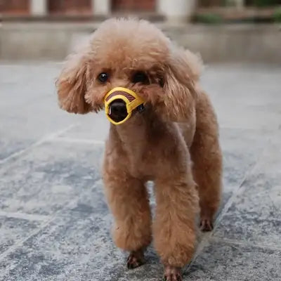 Muselière Chien - DogMuzzlePuppy™ - Jaune