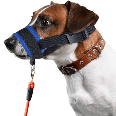 Muselière - AntiBarkDogMouthMuzzle™ - Bleu