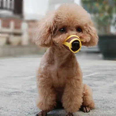 Muselière Chien - DogMuzzlePuppy™ - Jaune
