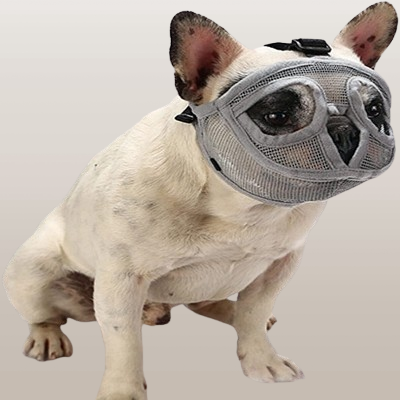 Muselière Chien - SnoutPetDogMuzzles™ - Gris
