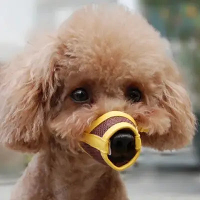 Muselière Chien - DogMuzzlePuppy™ - Jaune