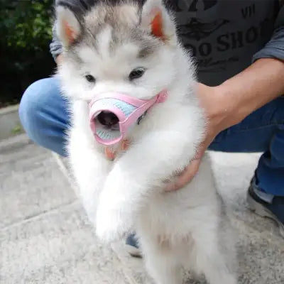 Muselière Chien - DogMuzzlePuppy™ - Rose
