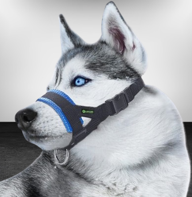 Muselière - AntiBarkDogMouthMuzzle™ - Bleu