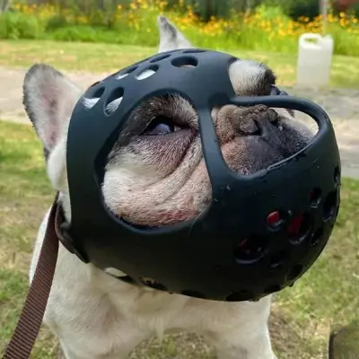 Muselière Chien - SiliconeDogMuzzle™ - Noir