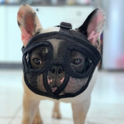 Muselière Chien - SnoutPetDogMuzzles™ - Noir