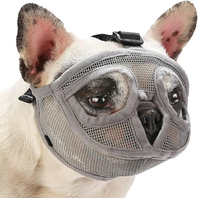 Muselière Chien - SnoutPetDogMuzzles™ - Gris