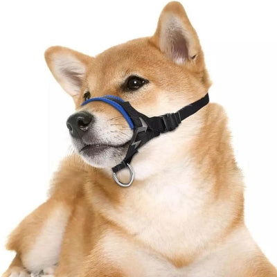 Muselière - AntiBarkDogMouthMuzzle™ - Bleu