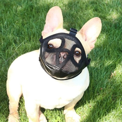 Muselière Chien - SnoutPetDogMuzzles™ - Noir