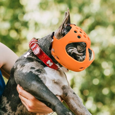 Muselière Chien - SiliconeDogMuzzle™ - Orange