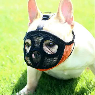 Muselière Chien - SnoutPetDogMuzzles™ - Orange