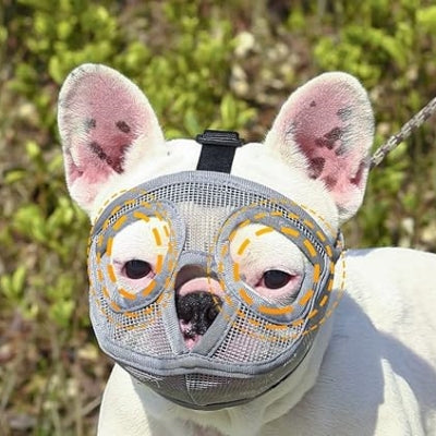 Muselière Chien - SnoutPetDogMuzzles™ - Gris