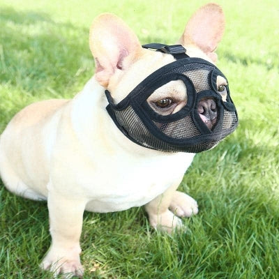 Muselière Chien - SnoutPetDogMuzzles™ - Noir