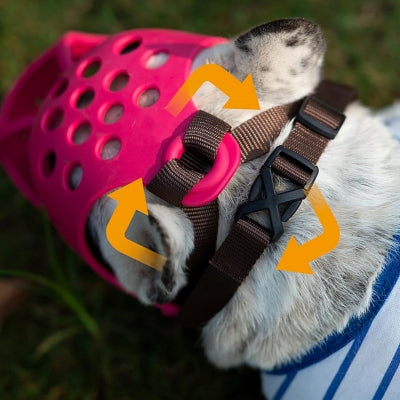 Muselière Chien - SiliconeDogMuzzle™ - Rose