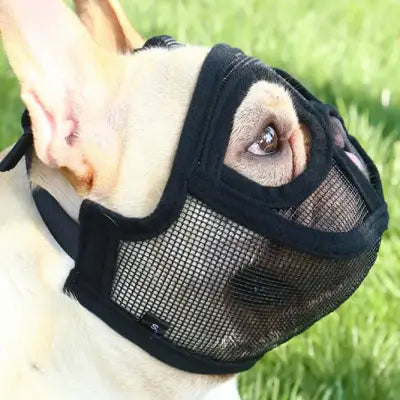 Muselière Chien - SnoutPetDogMuzzles™ - Noir