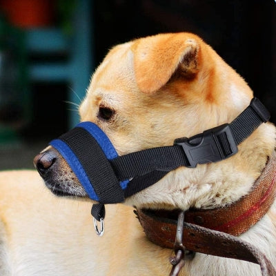Muselière - AntiBarkDogMouthMuzzle™ - Bleu