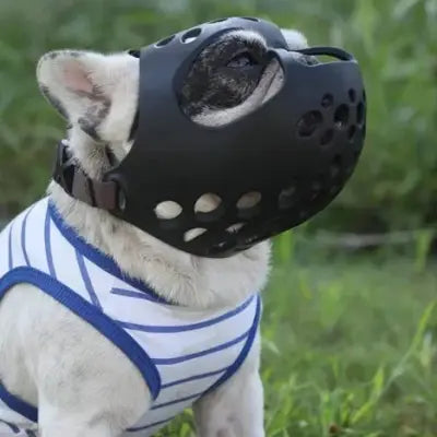 Muselière Chien - SiliconeDogMuzzle™ - Noir