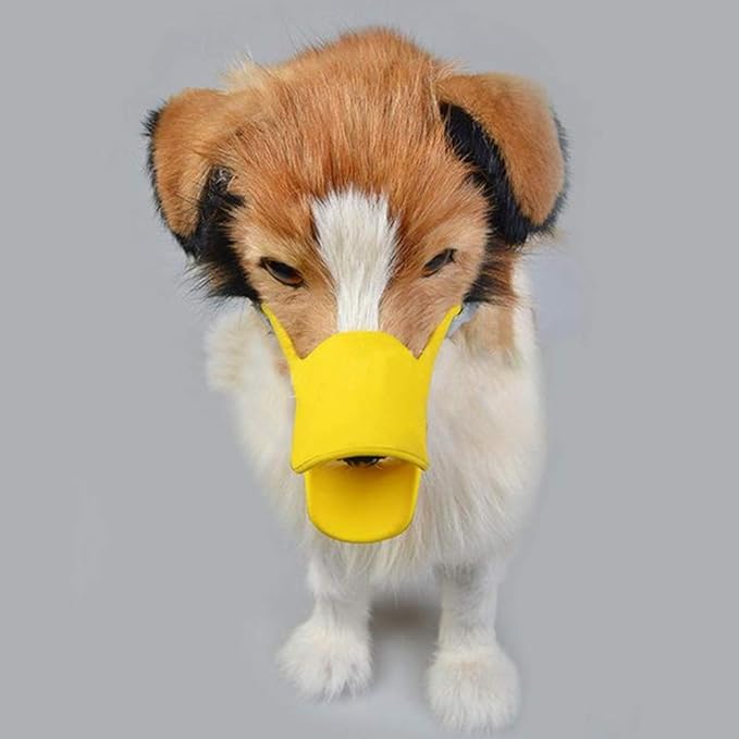 Muselière - MuzzleDuck™ - Jaune