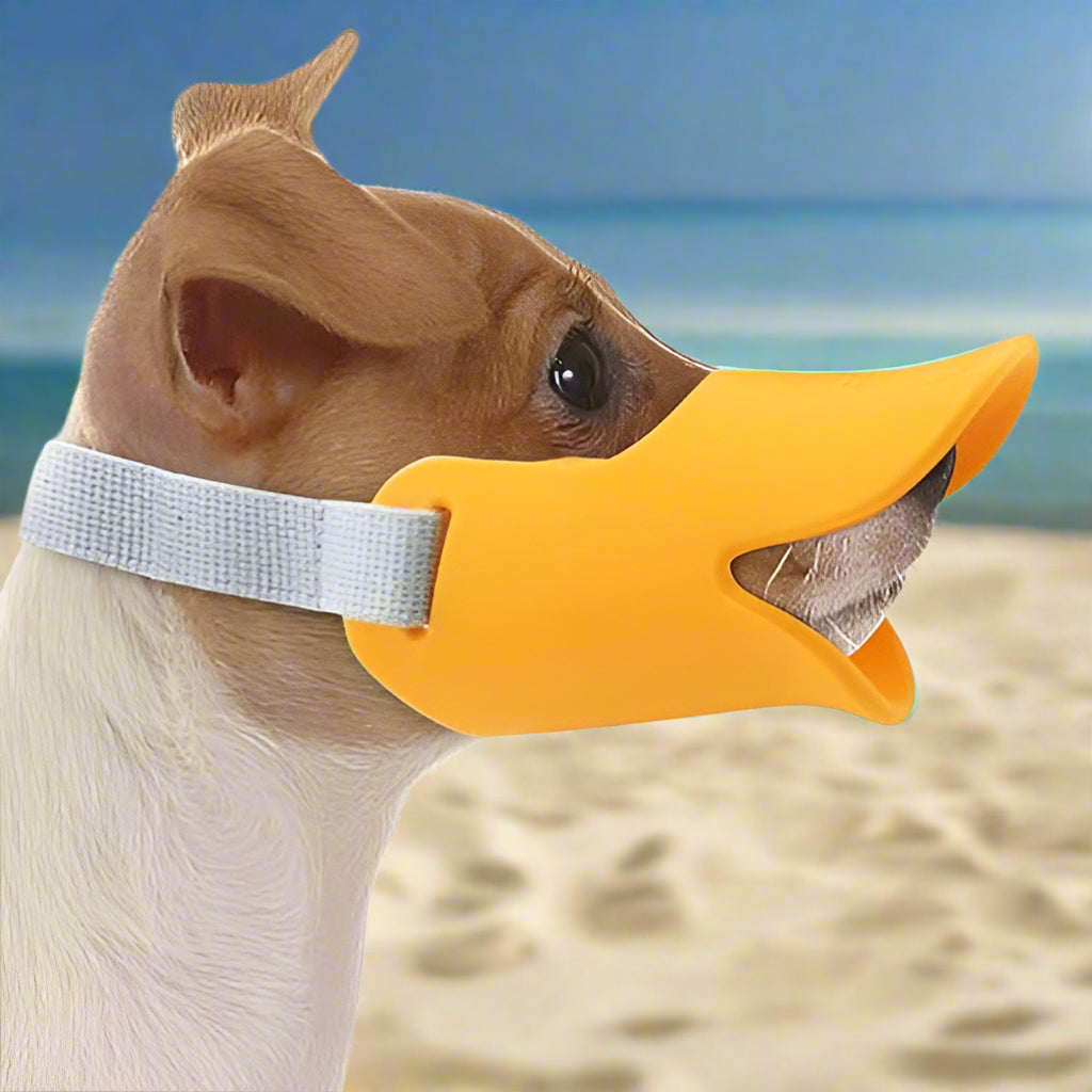 Muselière - MuzzleDuck™ - Orange