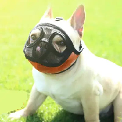 Muselière Chien - SnoutPetDogMuzzles™ - Orange