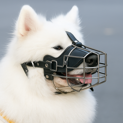 Muselière - MuzzleGuard™ - Noir